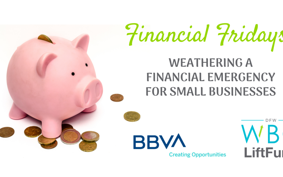 Financial Fridays: Weathering a Financial Emergency for Small Businesses
